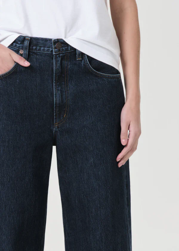 Low Curve Jean in Pendulum - Image 4