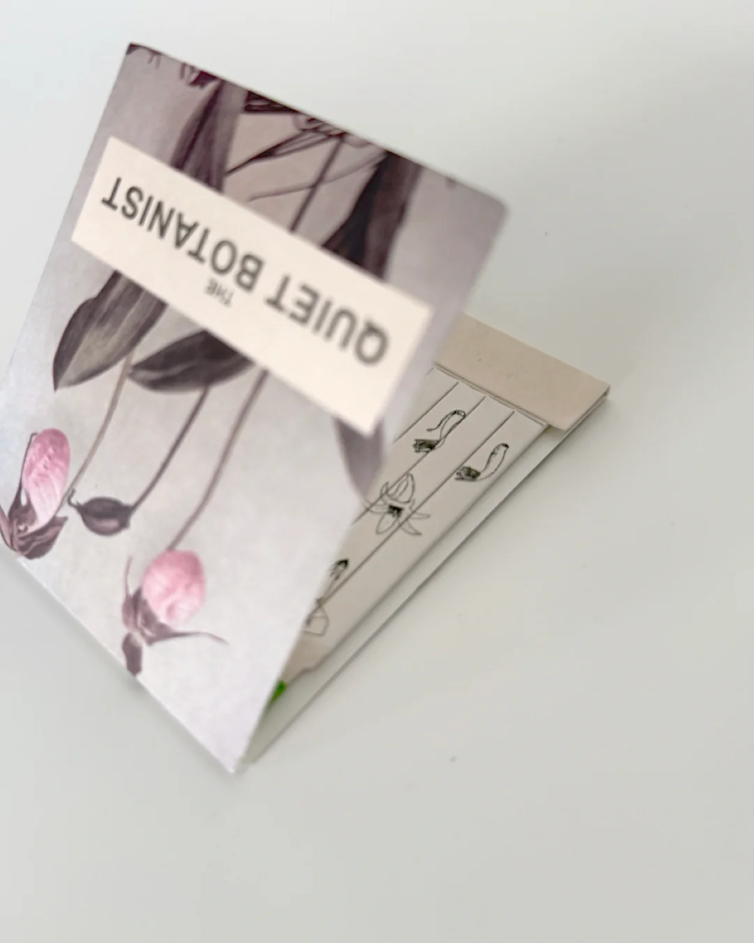 Oversized Botanical Matches - Image 4